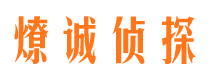 嘉陵市侦探